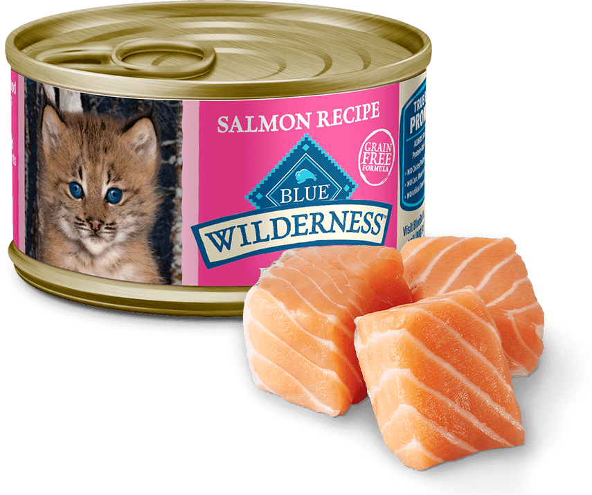 BLUE Buffalo Wilderness Salmon Recipe - Kitten